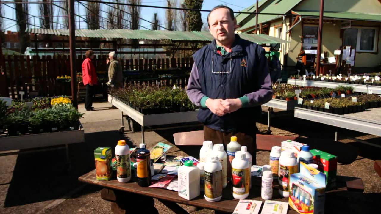 Permetezés, kezelés szakmai nap!