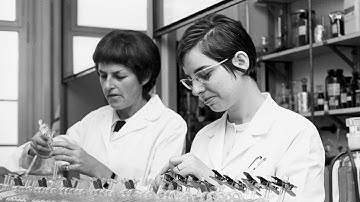 Chemical biology: A new organizing principle for drug discovery