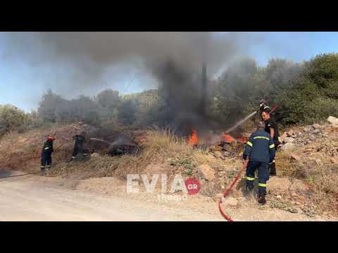 Eviathema.gr - Φωτιά στα Ψαχνά Ευβοίας