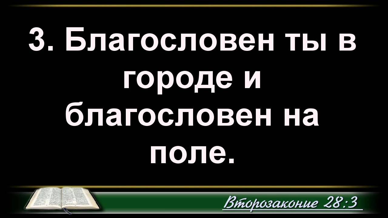Конференция 23.10.2014