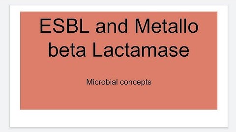 ESBLs and MBL (Metallo-beta lactamase) | Microbiology