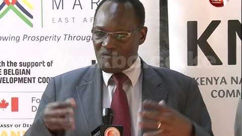 Certificates of origin to be accessed online from March this year