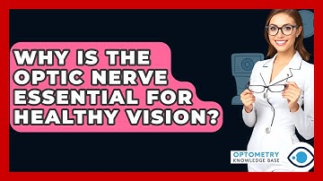 Why Is The Optic Nerve Essential For Healthy Vision? - Optometry Knowledge Base