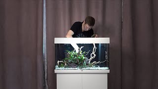 Запуск и оформление растительного аквариума