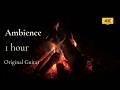 Campfire Under Moonlight | Crackling Flames & Original Acoustic Guitar