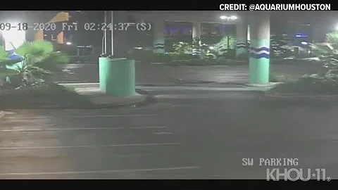 Surveillance Video: Big rig falls from freeway onto Downtown Aquarium parking lot - DayDayNews