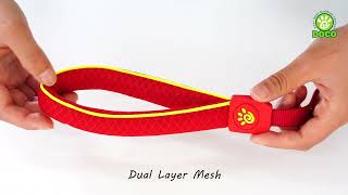 Doco This Creatively Designed Leash