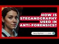 Uncovering the Role of Steganography in Anti-Forensics 🔍