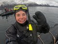 Swimming with Orca &amp; Humpback whales in Norway