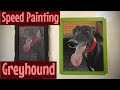 Greyhound  time lapsed pastel portrait  speed painting