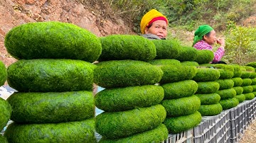 Độc lạ món bánh rêu suối Tây Bắc, muốn ăn phải đập và giặt như quần áo