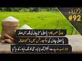 Pakistan Double Rice Export & New Engineering university