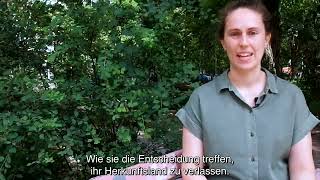 Die Wissenschaftlerin Julia Stier über Bambas Geschichte