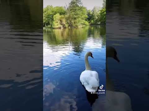 رضا الأم و رضا الأب بر الوالدين حالات واتس اب