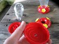 Caution You May Be Killing Hummingbirds By Using The Wrong Type Of Feeder Caution You May Be Killing Hummingbirds By Using The Wrong Type Of Feeder