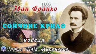 "Сойчине крило"(1905), Іван Франко, новела. Слухаємо українське!