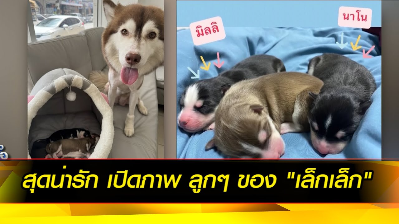 สุดน่ารัก เปิดภาพ ลูกๆ สุดแสบ ของ "เล็กเล็ก"