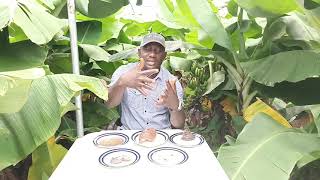 UNTOLD TRUTH IN SNAIL FARMING LUCRATIVENESS WITH PROOF.( Training center )