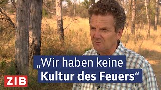 Wie Sich Ein Wald Nach Dem Brand Erholt Zib 2 Vom 10.08.2026