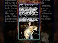 He Adopted Dog That Nobody Wanted