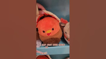 The Cutest Autumn Squish 🧡🤎 #squishmallows #squishmallowsquad #squishmallowhunting