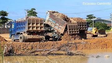 Episode 10 Team Truck Working Unloading & Double Komatsu Dozer Using Power Pushing Stone Filling Up