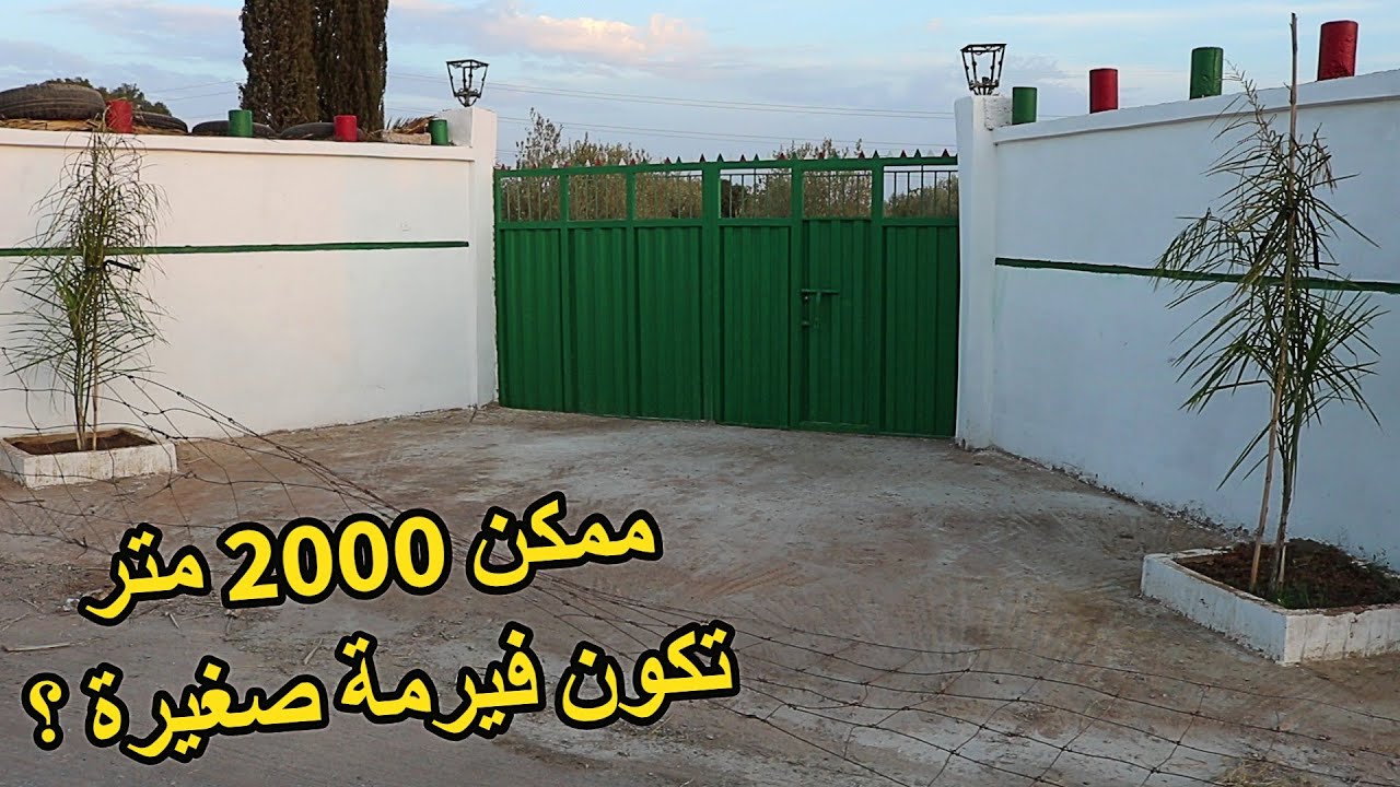 فقط 2000 متر ممكن دير منها فيرمة صغيرة - فيديو مشاركة افكار