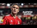 Darwin nunez 2022  amazing skills goals  assists 