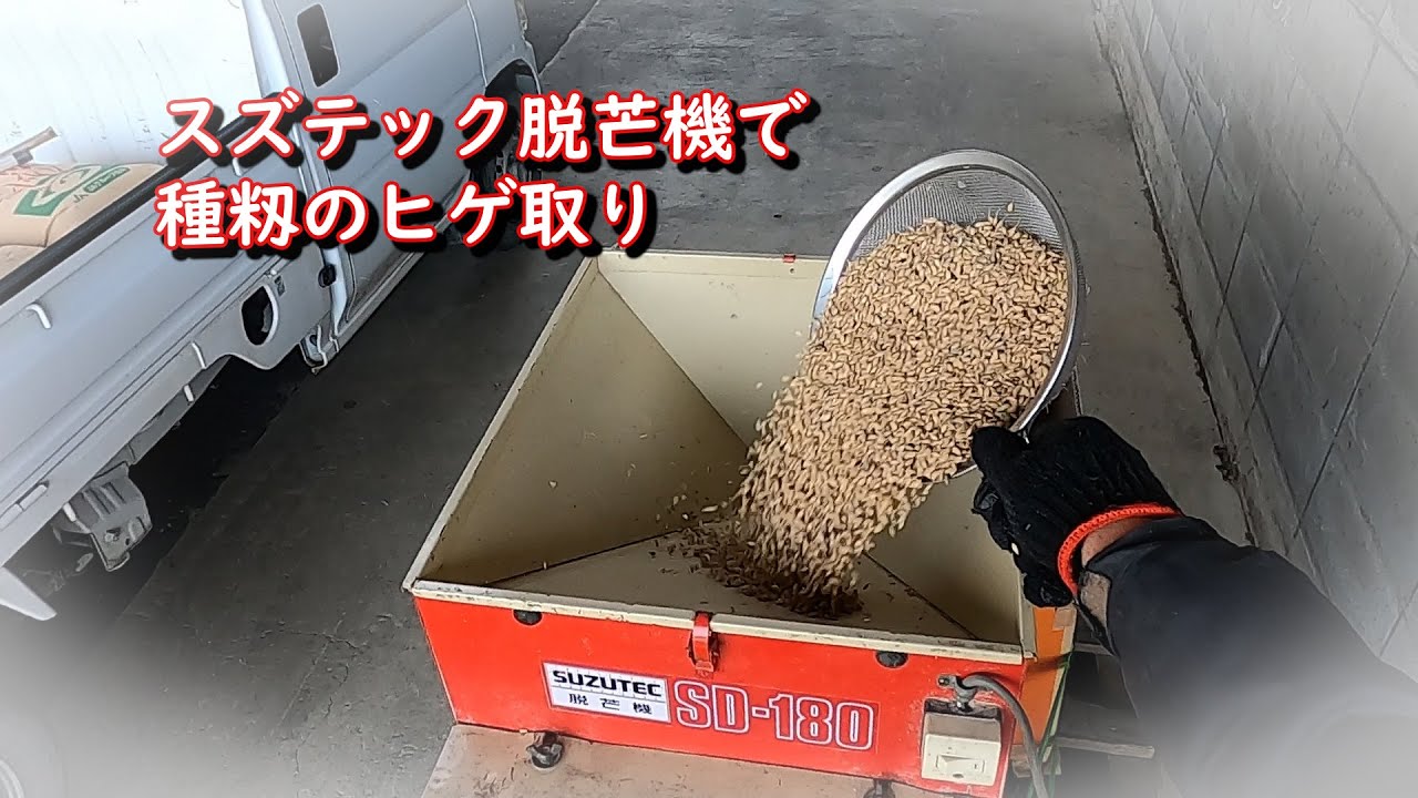 脱茫機 種籾のヒゲ切 スズテック脱芒機で種籾のヒゲ取り - YouTube