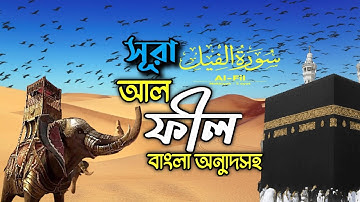 সুরা ফীল (سورة الفيل) বাংলা অর্থসহ। Surah fil with bangla translation. #সুরাফিল #surafil সময়ের শপথ