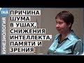 Шум в ушах. Снижение интеллекта, памяти и зрения. Людмила Васильева. Германия