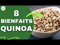 Quinoa  ses 8 bienfaits cachs pour la sant 3 recettes bonus