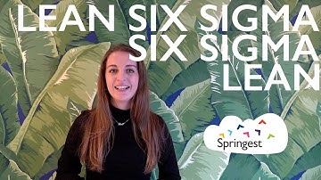 Wat is Lean Six Sigma? | Springest