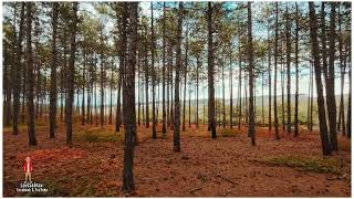 Madiation Music Video Natural At Its Best Drone Shot.