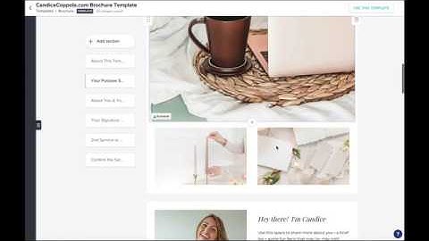 How do you create stunning brochures in Honeybook? + Save 50% with THIS Honeybook Promo Code