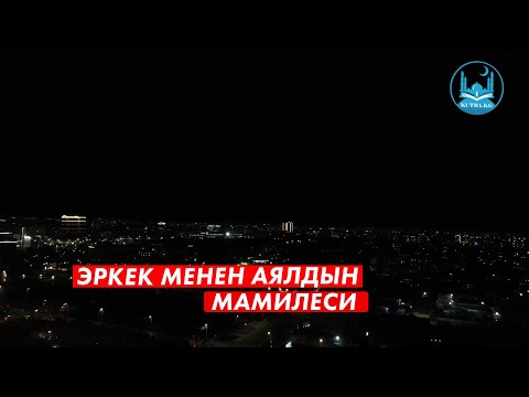 Video: WSDL менен Wadl ортосунда кандай айырма бар?