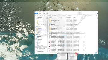 A Case That Should HELP You, 445 Form to Pay Fee
