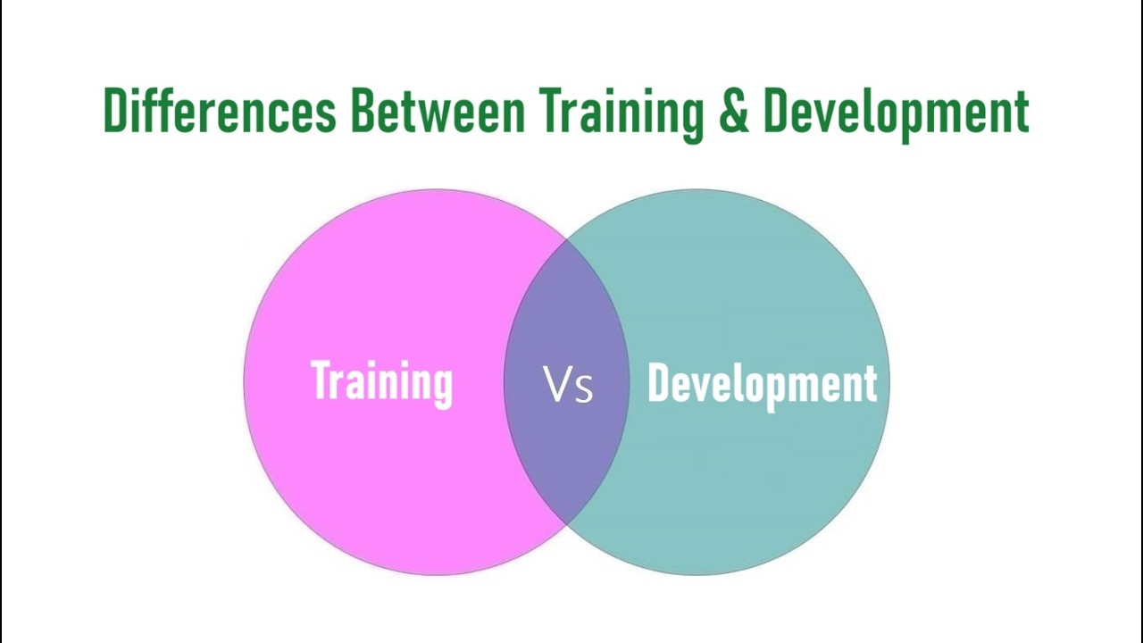 Differences Between Training and Development - YouTube