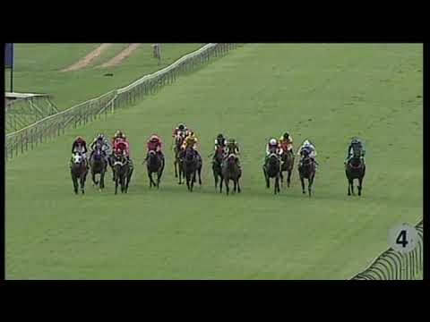 Hollywood horse racing and sports betting tips