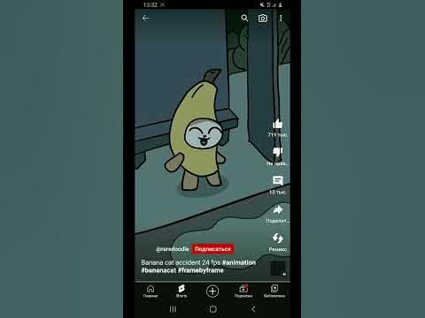 кот банан - YouTube