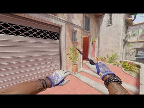 ★ Driver Gloves | Wave Chaser with Black Pearl (M9 Bayonet, Karambit, and more) | Counter-Strike 2