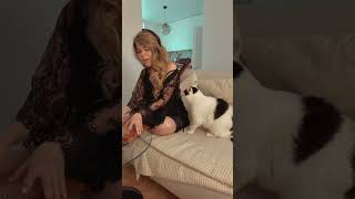 daft punk cat cover