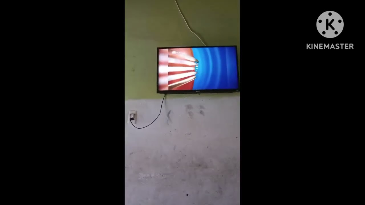 Cronologia de genéricos Bom dia Portugal 1982-2026 