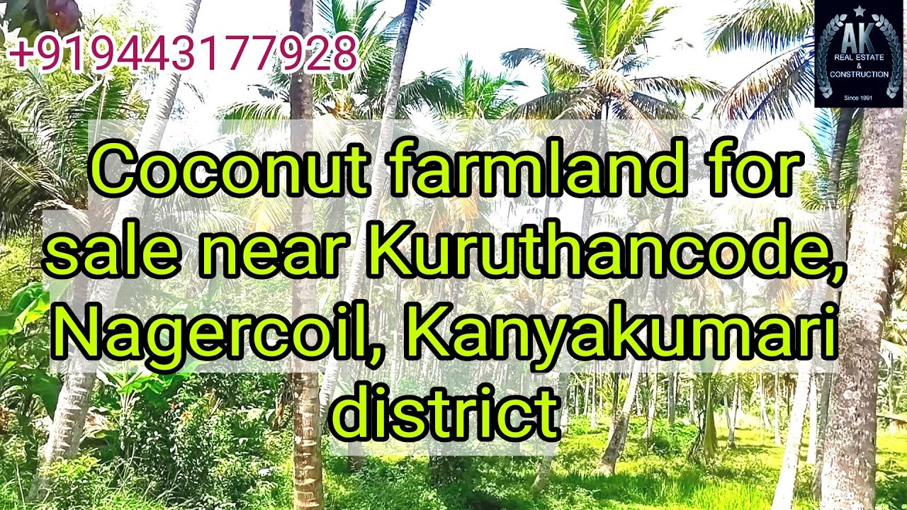 Coconut farm land for sale near Kuruthancode, Nagercoil, Kanyakumari