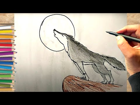 Vidéo: 5 façons de dessiner une dinde