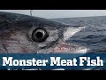 Monster Meat Fish Seminar - Florida Sport Fishing TV - Kingfish, Wahoo, Tuna