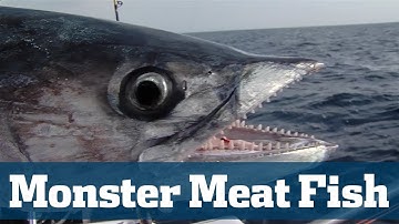Monster Meat Fish Seminar - Florida Sport Fishing TV - Kingfish, Wahoo, Tuna