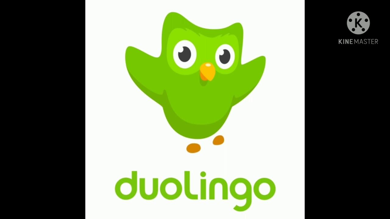 la première séance duolingo français YouTube