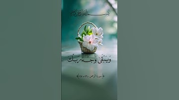 كل من عليها فان ويبقى وجه ربك ذو الجلال والإكرام #سورة_الرحمن #قرآن #عبد_الباسط_عبد_الصمد