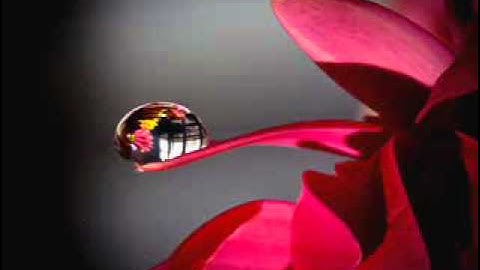 سورة العنكبوت برواية ورش الاصبهاني ابو عبد الله المظفر